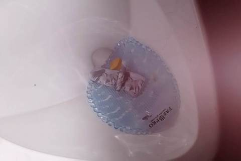 ZAGREBAČKA TRADICIJA: Primjereno proslavljen 10. travnja