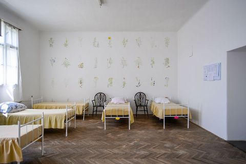 Nakon intervencije - "Herbarij" Vide Meić