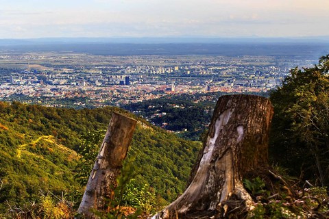 SJEČA ŠUME NA MEDVEDNICI: Ako je sve po propisima, mijenjajte propise