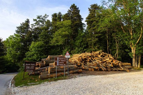 SJEČA ŠUME NA MEDVEDNICI: Ako je sve po propisima, mijenjajte propise