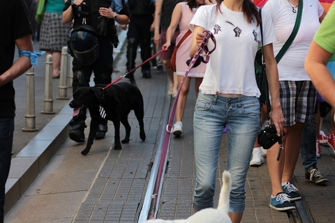 Pronađi se na Zagreb Prideu