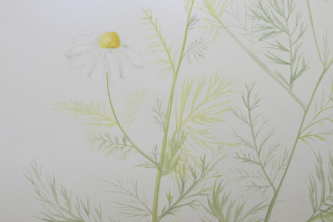 Rad Vide Meić, detalj