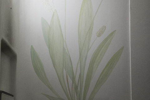 Poslije intervencije Vide Meić