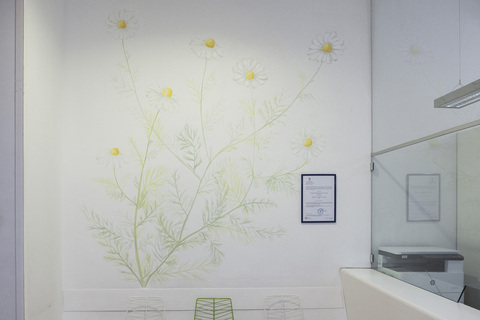 Poslije intervencije Vide Meić