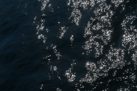 Oscar Delta Mike Dee Botice