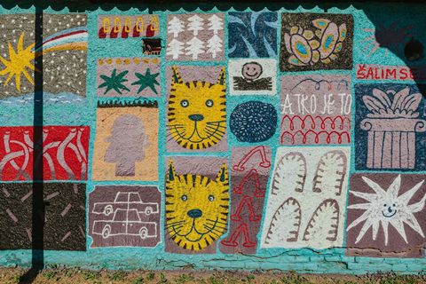 „Onaj dan kada je tigar pao preko vulkana”