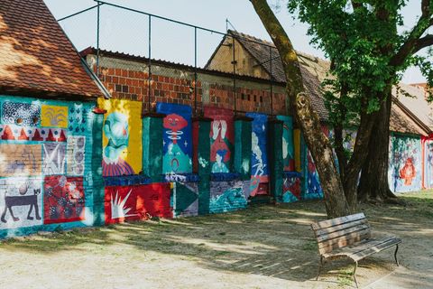 „Onaj dan kada je tigar pao preko vulkana”