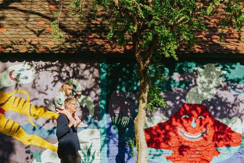 „Onaj dan kada je tigar pao preko vulkana”