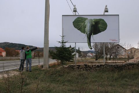 KVART - kolektivni rad