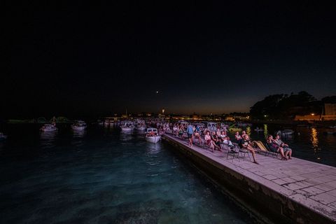 VELIKA FOTOGALERIJA: Predivno morsko kino