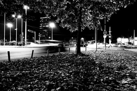 GRAD BEZ LJUDI: Distopija koju živimo 