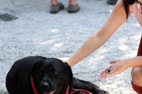 Pronađi se na Zagreb Prideu