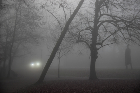 Crno-bijeli svijet Darka Labora