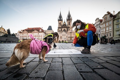 Petr Zewlakk Vrabec/a2larm.cz