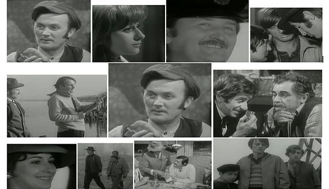 Kuda idu divlje svinje