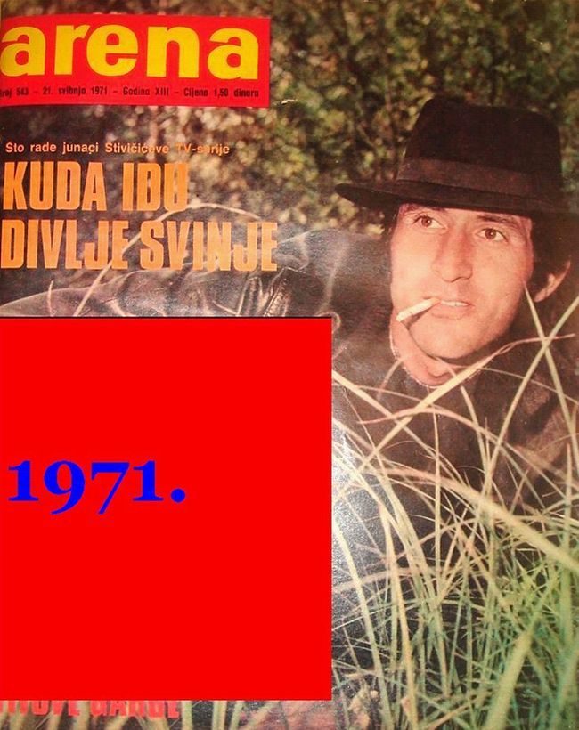 Kuda idu divlje svinje