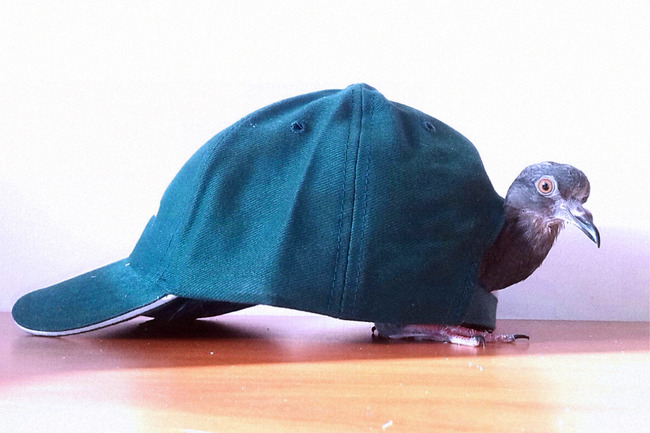 ŠTO SU SNIMILI TRAŽITELJI AZILA: Želimo te voljeti, umjetnosti