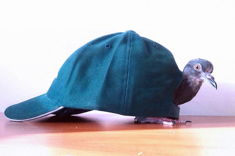 ŠTO SU SNIMILI TRAŽITELJI AZILA: Želimo te voljeti, umjetnosti