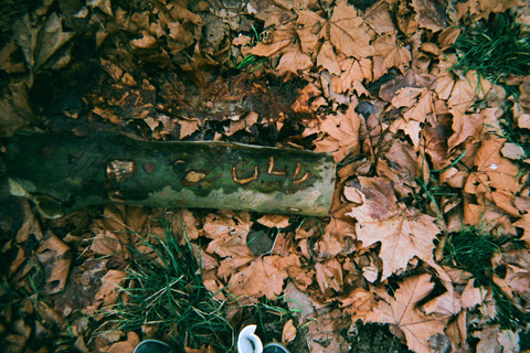 ŠTO SU SNIMILI TRAŽITELJI AZILA: Želimo te voljeti, umjetnosti