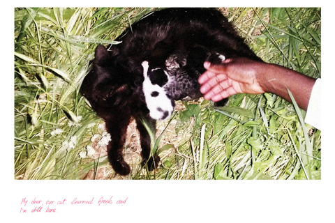 ŠTO SU SNIMILI TRAŽITELJI AZILA: Želimo te voljeti, umjetnosti