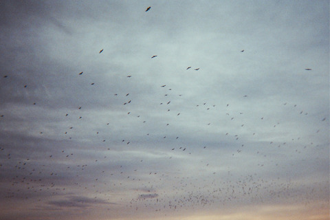 ŠTO SU SNIMILI TRAŽITELJI AZILA: Želimo te voljeti, umjetnosti