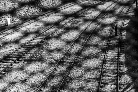 FOTO: "Život u limbu - knjiga ožiljaka"