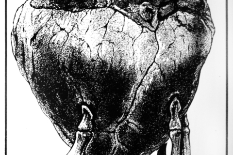 (I)LUSTRACIJA HRVATSKE: Zavirite u mračno ogledalo Hrvatske