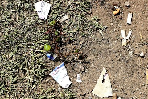 Motivi za razglednicu "Pozdrav iz Tovarnika"