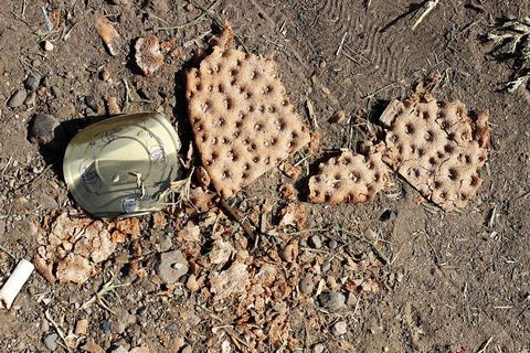 Motivi za razglednicu "Pozdrav iz Tovarnika"