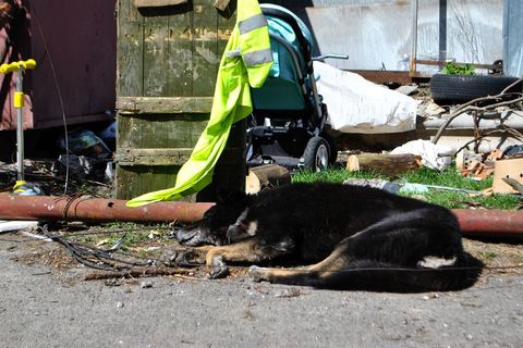 Čuvar doma na mjestu gdje su domovi uništeni