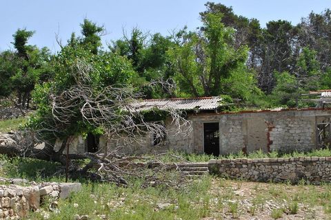 Pošumljeni dio otoka