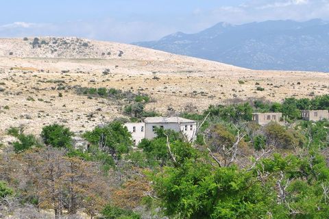 Pošumljavali su zatvorenici