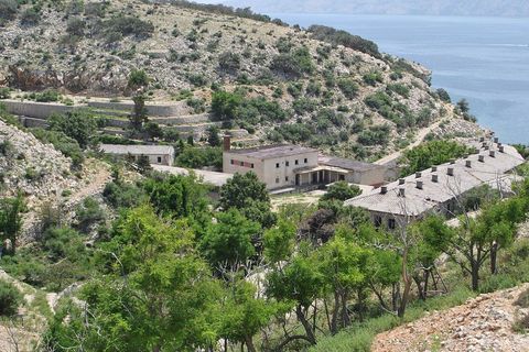 Velika žica otvorena je 1950. godine