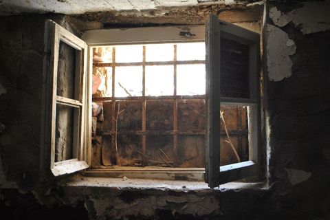 A ovako uobičajene ćelije