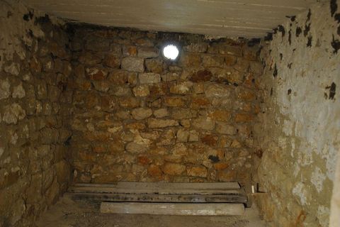 Ovako su izgledale samice