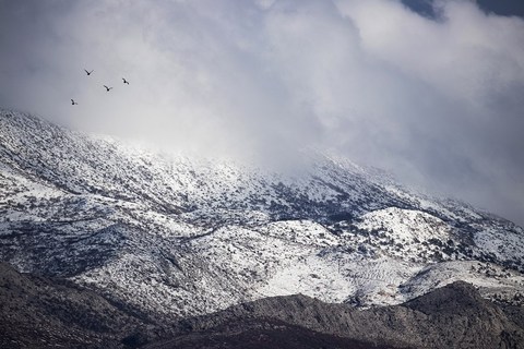 Ivan Galić (Split, Mosor)