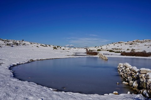 Gordana Zec (Vela lokva, Draga Bašćanska)