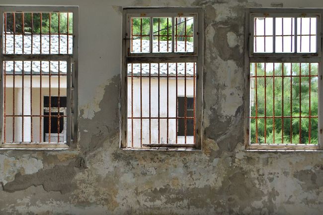 GOLI OTOK U FOTOGRAFIJAMA: Vlast su ovdje preuzele ovce