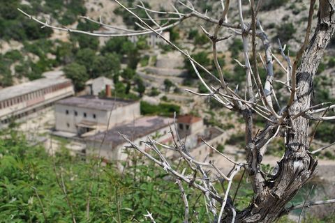 Nekada je na Golom otoku bilo i po 3.000 zatvorenika istovremeno