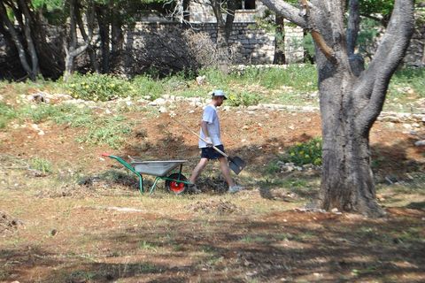 Volonteri uređuju do jučer zarasli i neprohodni pervioj
