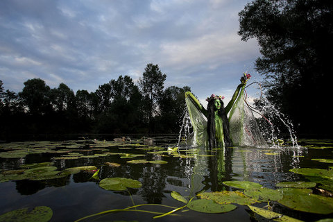 Podravska vodenkinja
