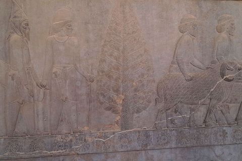 Reljefi u Perzepolisu