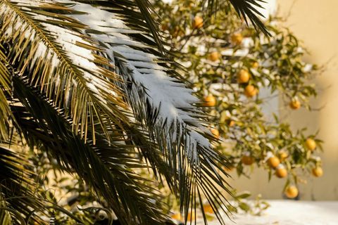 Pelješac siječnja 2017.