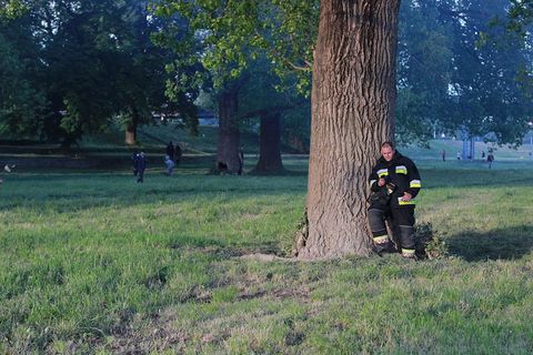 TRNJANSKI KRESOVI 2017.: Naše vatre gore! Ostajemo na pravoj strani povijesti