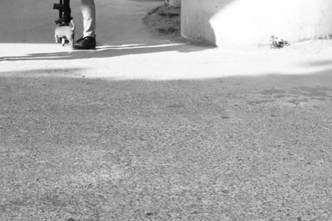 Elizabeta Šarčević, "Distrakcija"