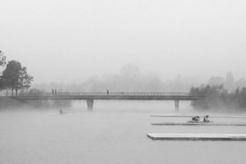 Elizabeta Šarčević, "Sumrak kolaž"