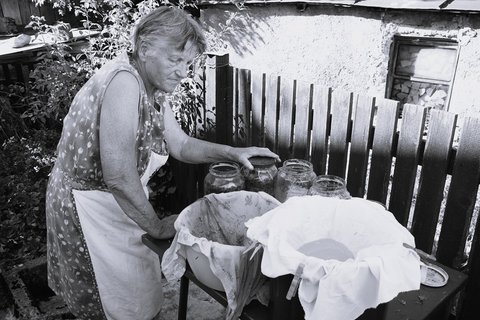 Mihaela Vukelić, "Priprema sirupa od borovih iglica"