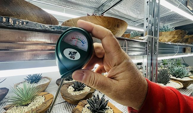 Razularena malograđanština