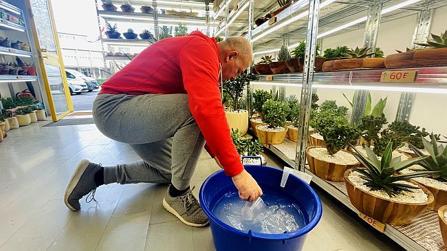 Razularena malograđanština