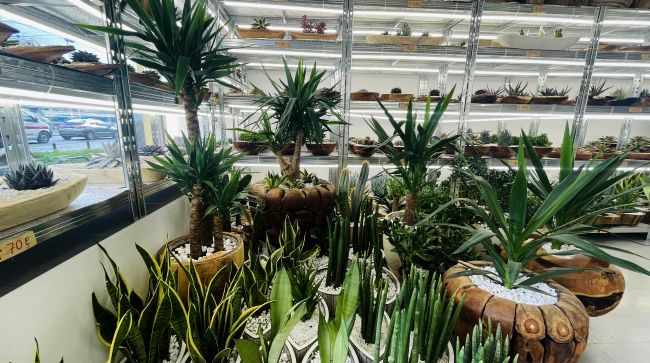 Razularena malograđanština